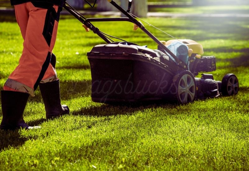 Lawn Mower Bag