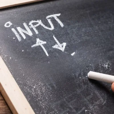 input bag